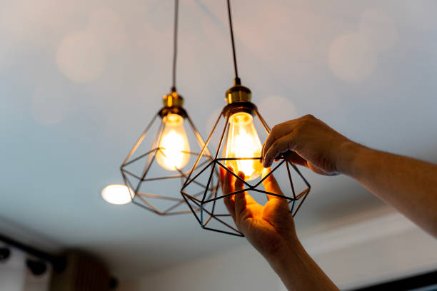 Best Licensed Electrician  in Le Center, MN