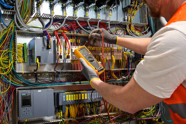 Best Electric Panel Repair  in Le Center, MN